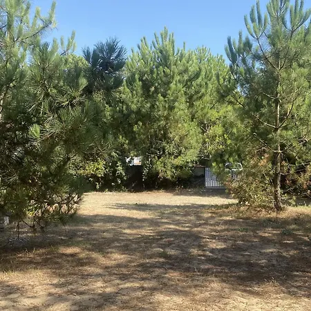 Entre Les Pins Et L'ocean Ferienhaus La Tranche-sur-Mer