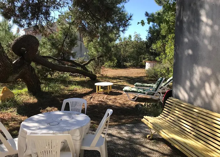 Entre Les Pins Et L'ocean La Tranche-sur-Mer